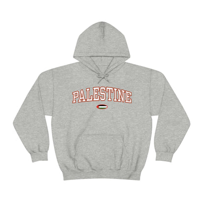 Palestine Flag Hoodie - Unisex