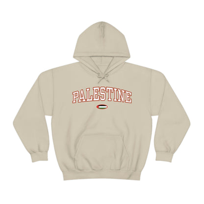 Palestine Flag Hoodie - Unisex