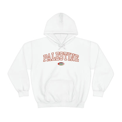 Palestine Flag Hoodie - Unisex